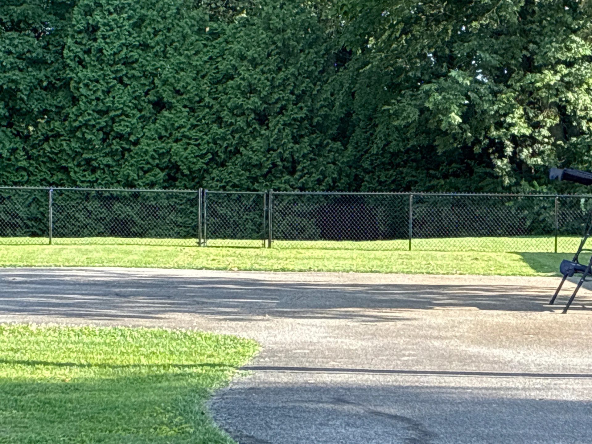 Black chain link fence along a yard in Frankfort